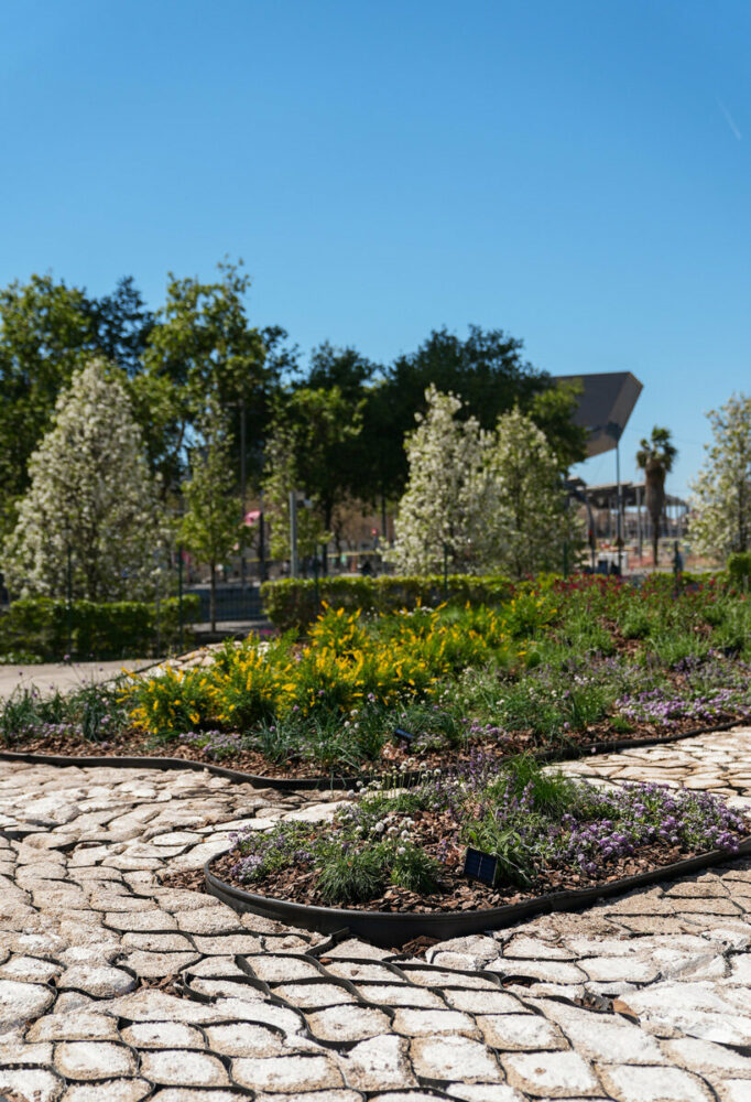 Harrison Atelier - Feral Surfaces