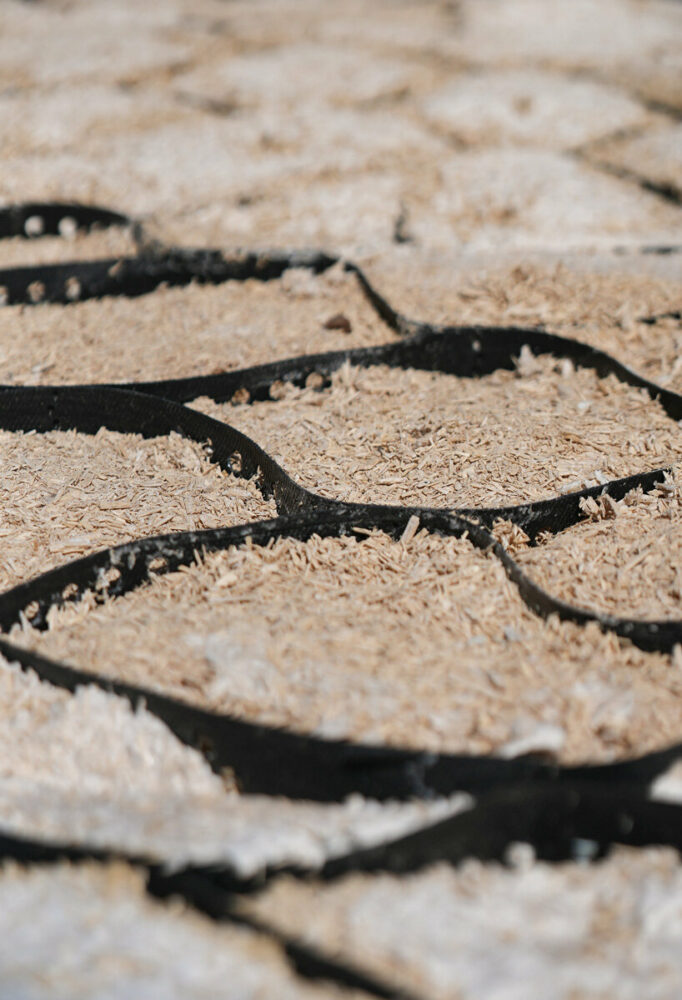 Harrison Atelier - Feral Surfaces