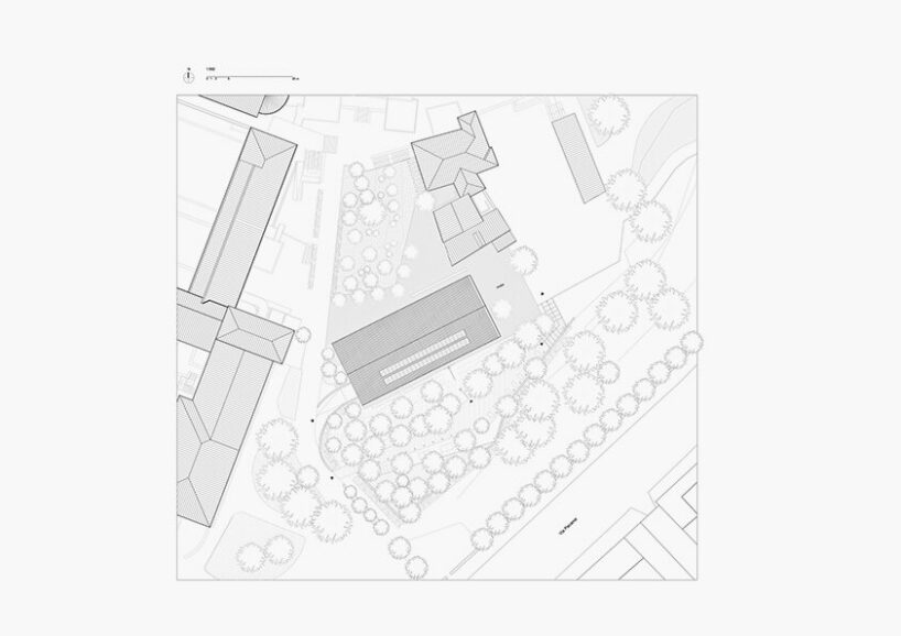 alvisi kirimoto mirrors woodlands with treehouse-like school in rome