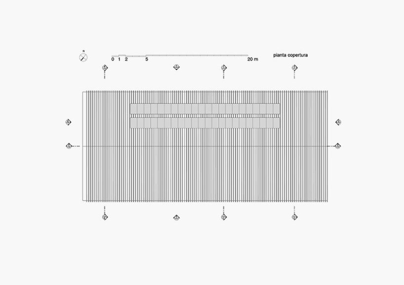 alvisi kirimoto mirrors woodlands with treehouse-like school in rome