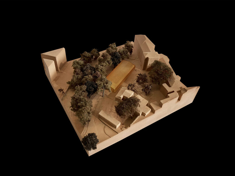 alvisi kirimoto mirrors woodlands with treehouse-like school in rome