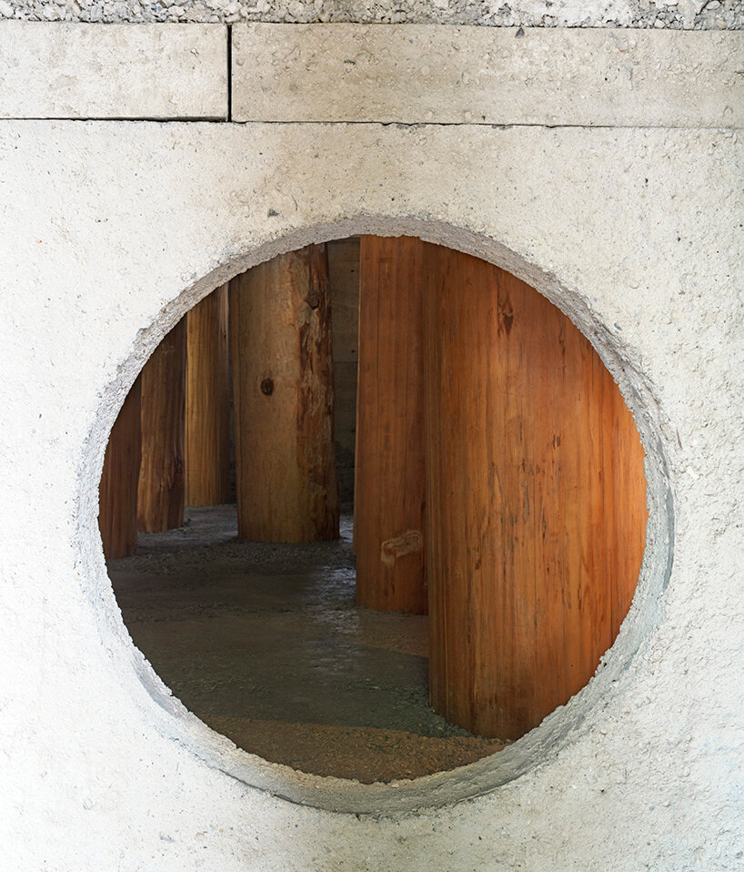 large tree trunks arrow through tomoaki uno’s peaceful forest-like office in japan