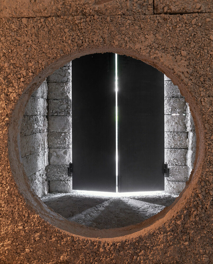 large tree trunks arrow through tomoaki uno’s peaceful forest-like office in japan