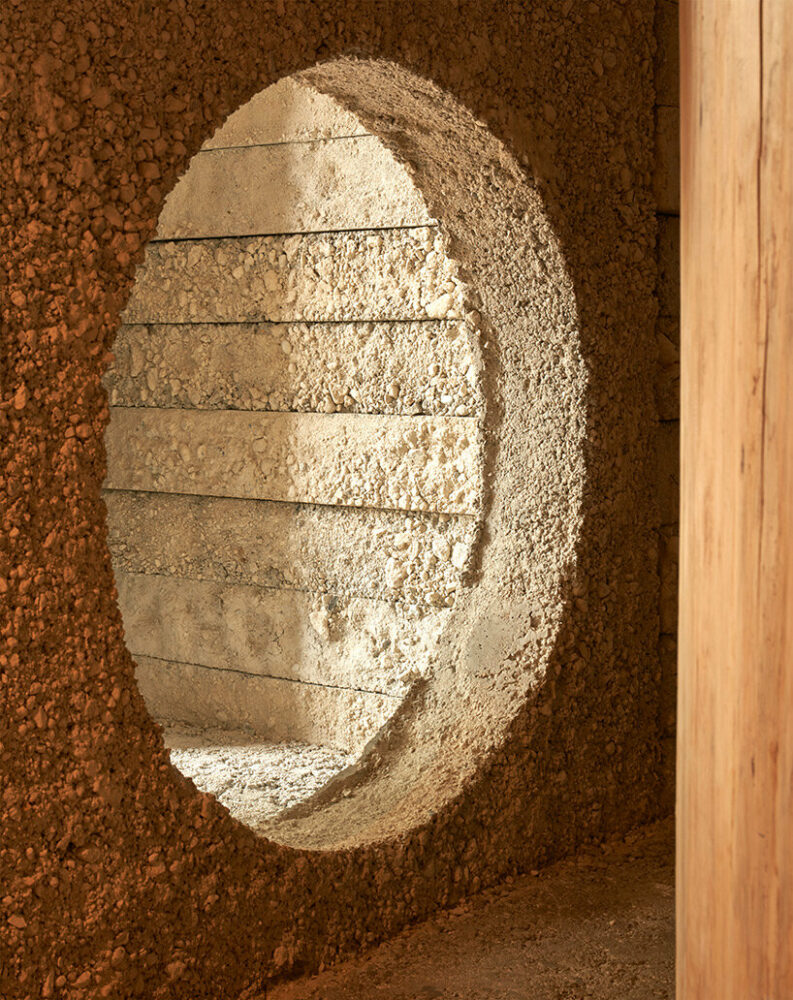 large tree trunks arrow through tomoaki uno’s peaceful forest-like office in japan