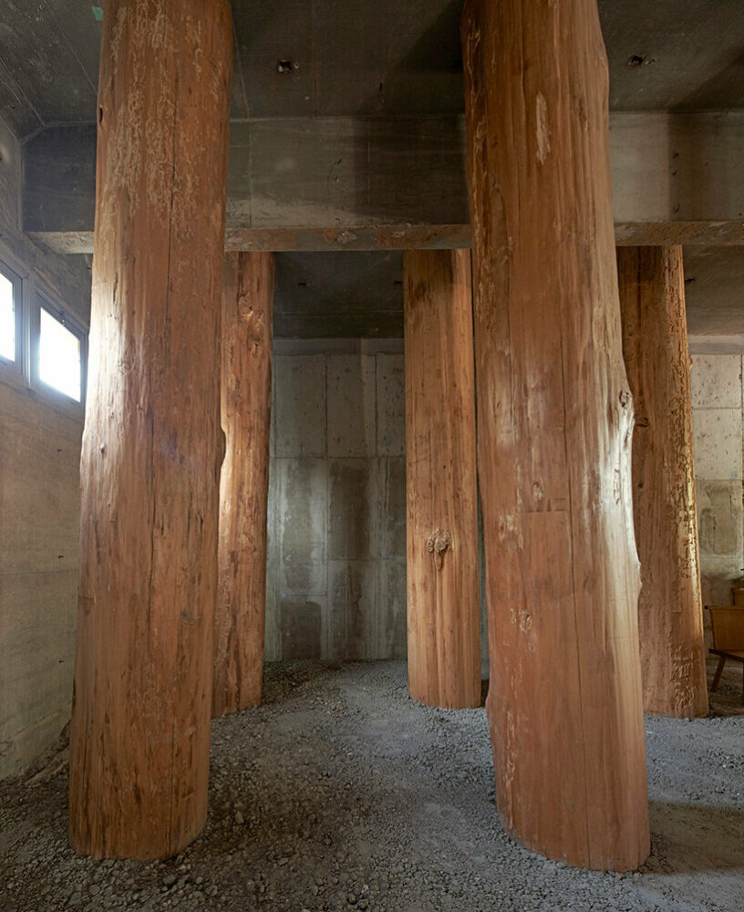 large tree trunks arrow through tomoaki uno’s peaceful forest-like office in japan