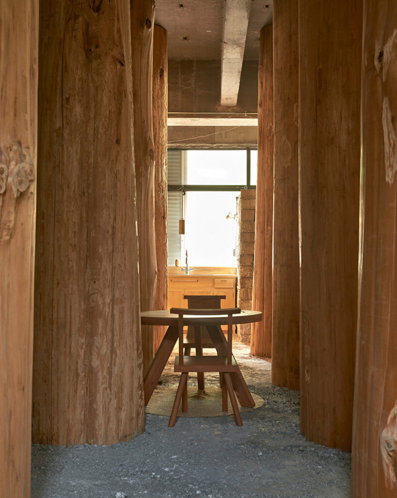 large tree trunks arrow through tomoaki uno’s peaceful forest-like office in japan