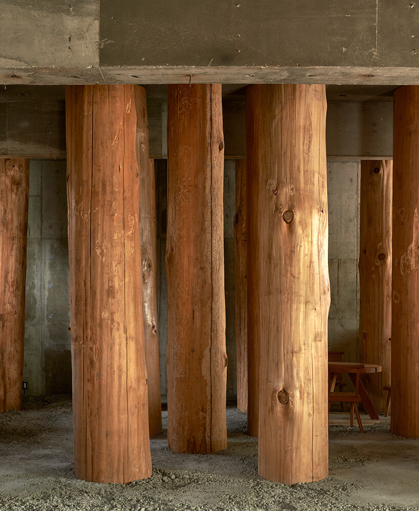 large tree trunks arrow through tomoaki uno’s peaceful forest-like office in japan