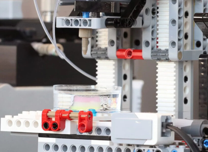 scientists build 3D bioprinter from LEGO bricks as low-cost solution to  printing human skin
