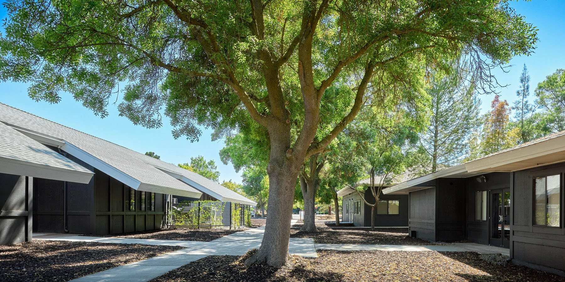 new-university-of-california-designboom-1800-2