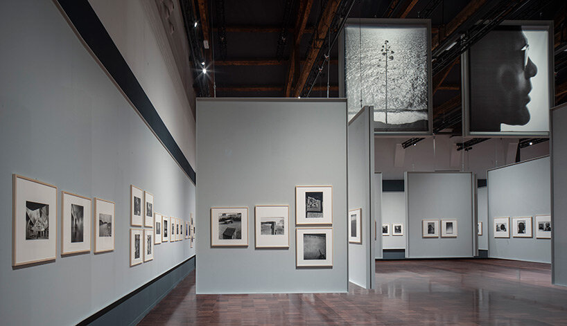 image © Alessandra Chemollo