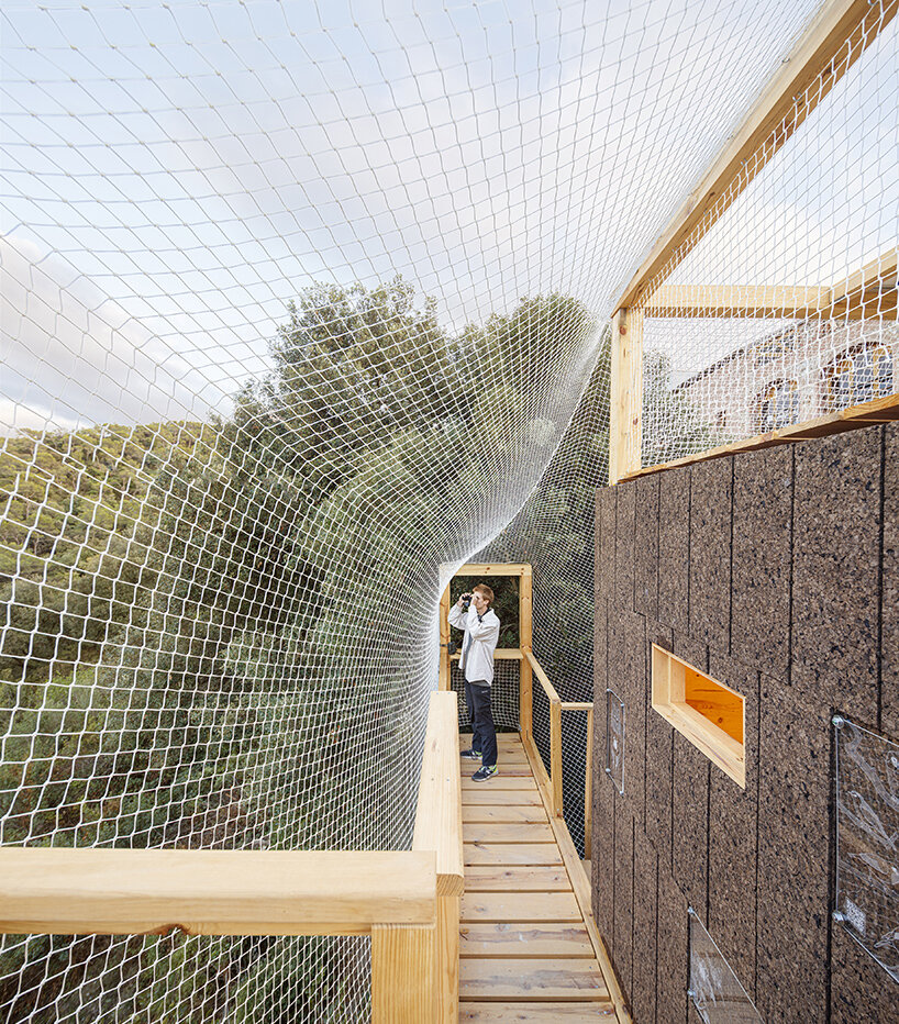 IAAC builds FLORA observatory in barcelona’s forest to research nature from the trees