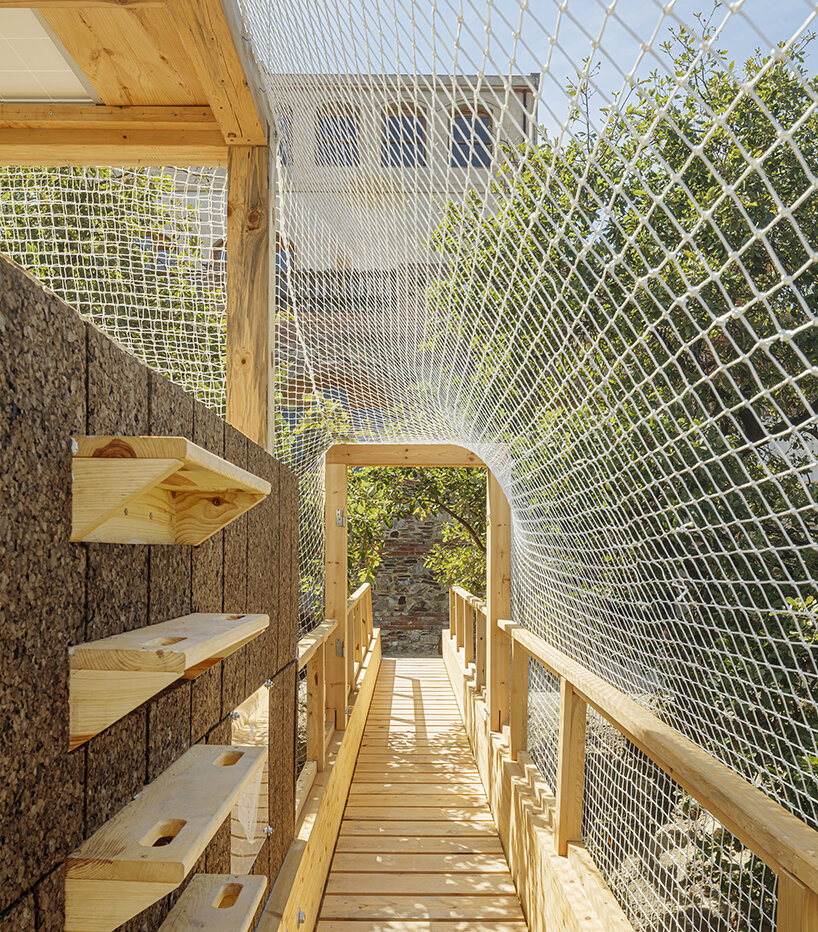 IAAC builds FLORA observatory in barcelona’s forest to research nature from the trees