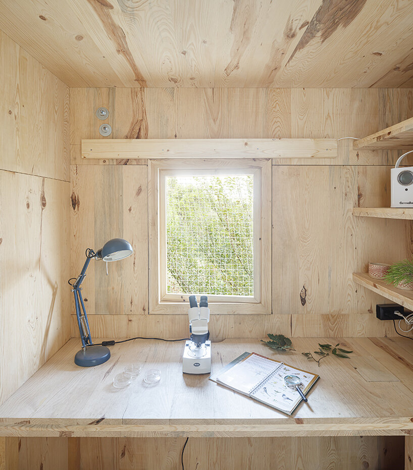 IAAC builds FLORA observatory in barcelona’s forest to research nature from the trees