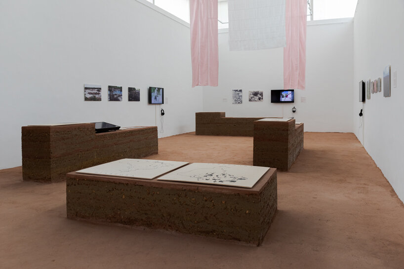 brazil pavilion receives the golden lion at the 2023 venice architecture biennale