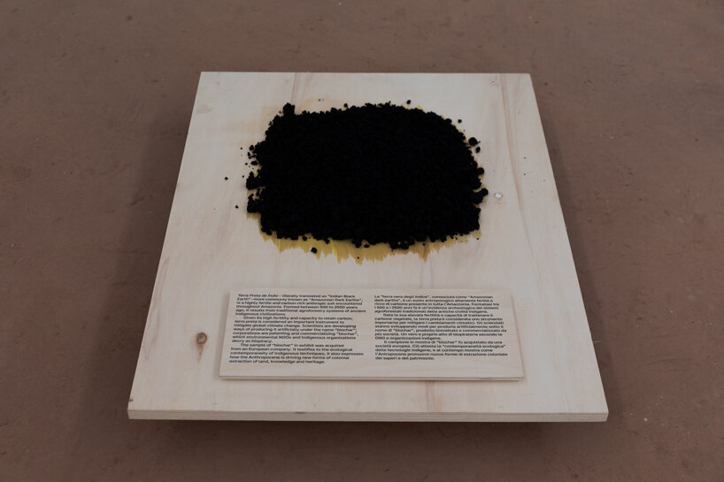 brazil pavilion receives the golden lion at the 2023 venice architecture biennale - 3