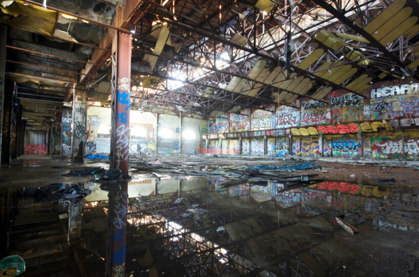 over time, the roof succumbed, allowing the growth of plants within its confines