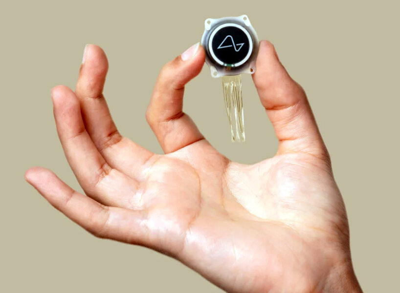 elon musk neuralink fda