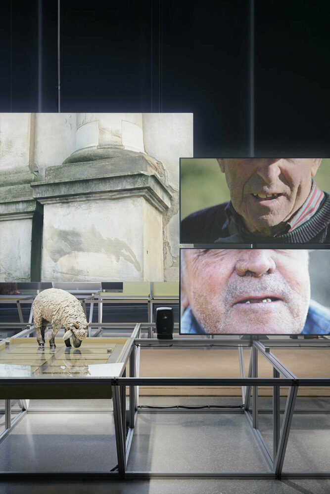 image © Gregorio Gonella