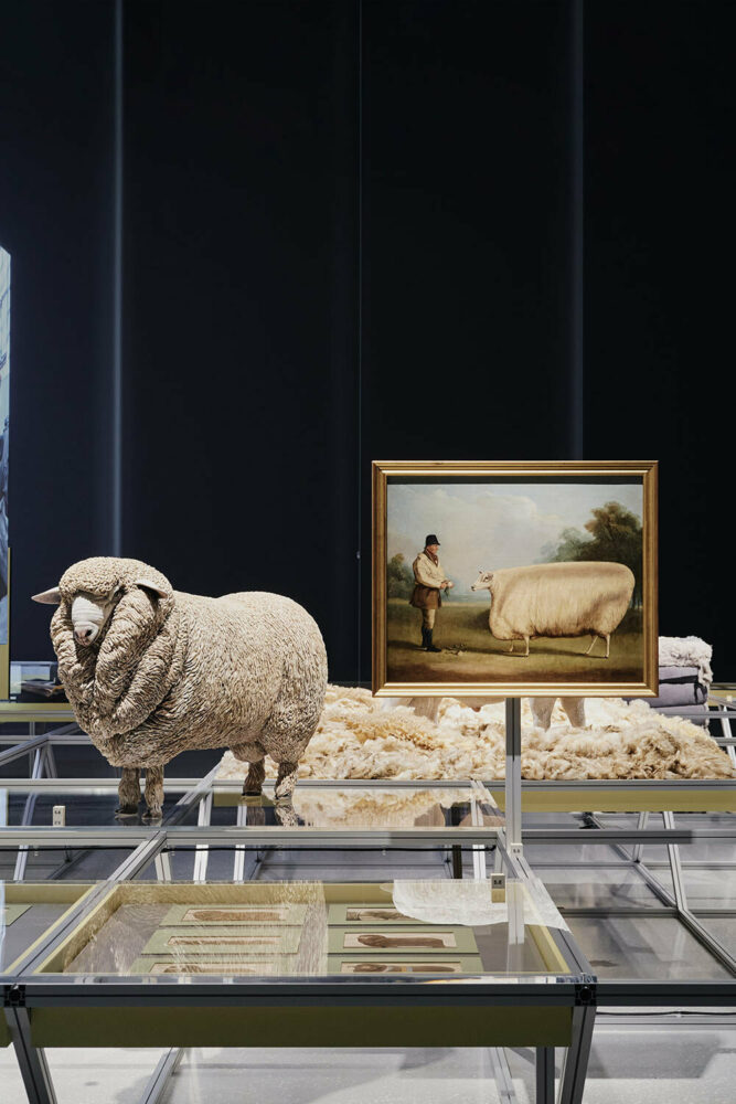 image © Gregorio Gonella