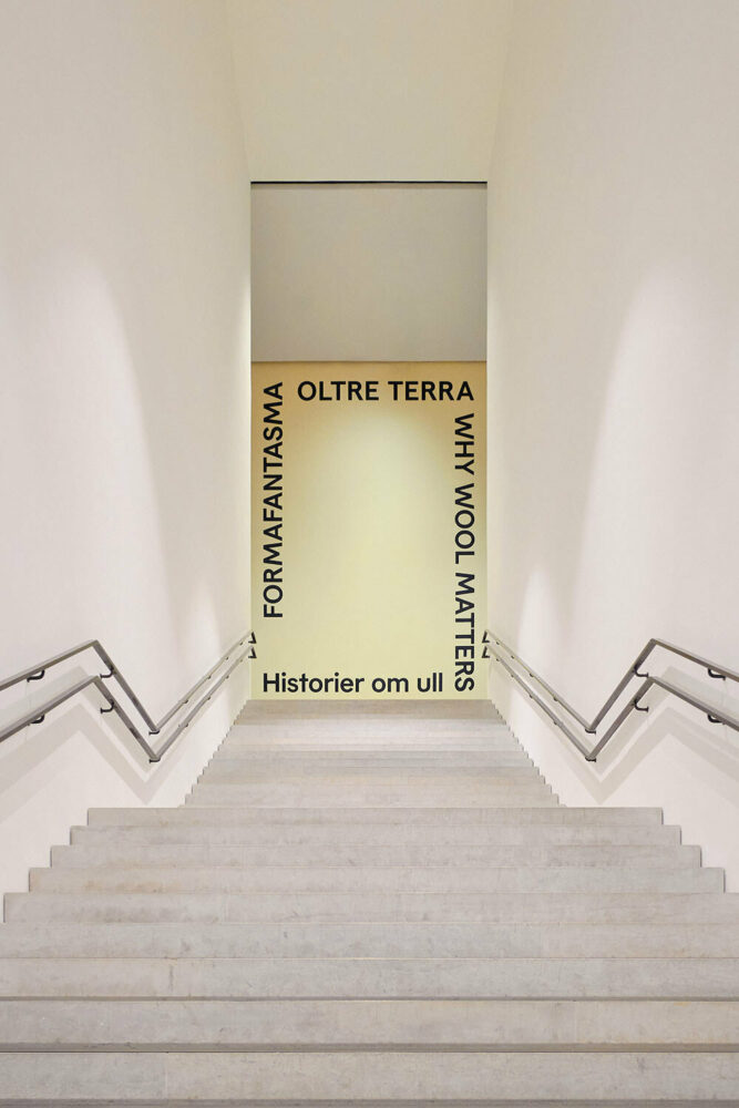 image ©Alessandro Cell