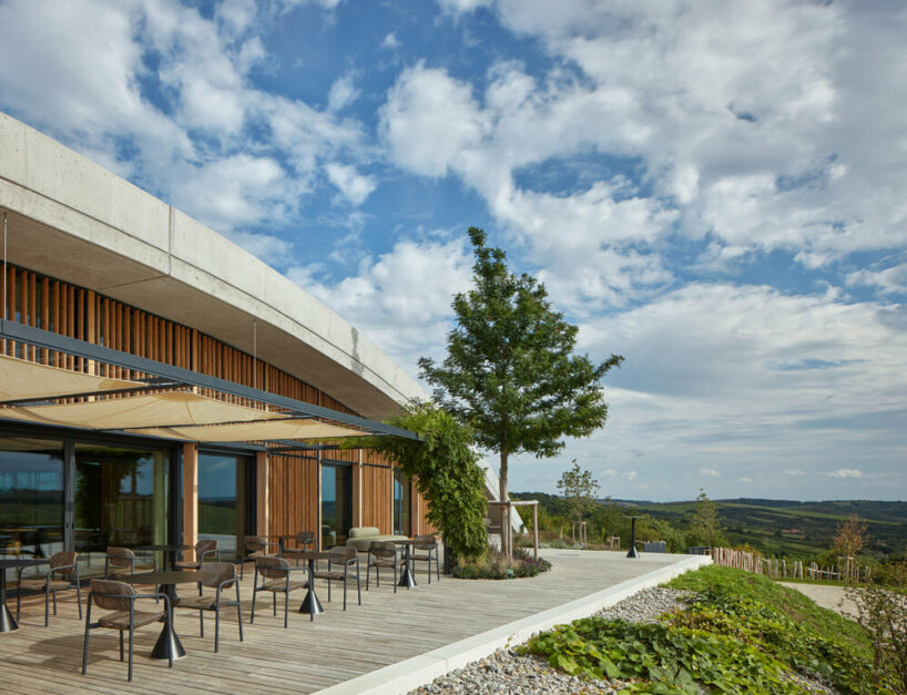 gurdau winery emerges as a ripple in the undulating landscape of kurdějov in czech republic