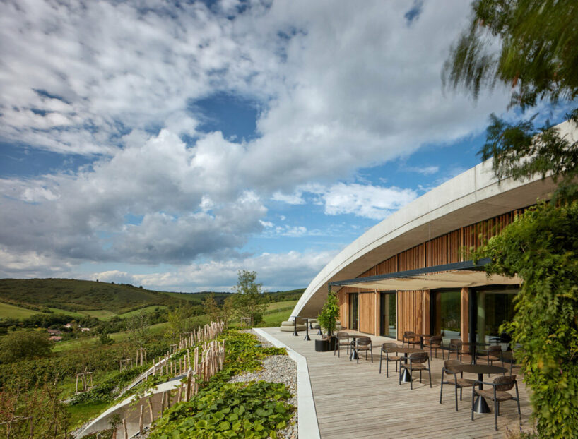 gurdau winery emerges as a ripple in the undulating landscape of kurdějov in czech republic