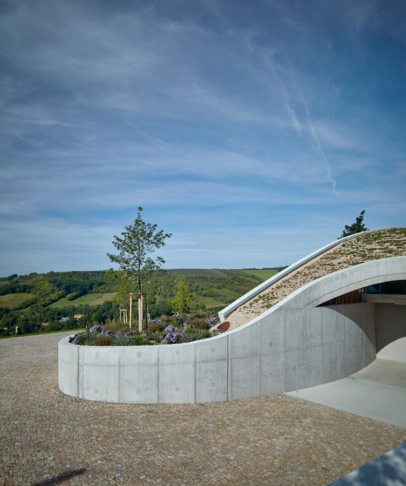 gurdau winery emerges as a ripple in the undulating landscape of kurdějov in czech republic