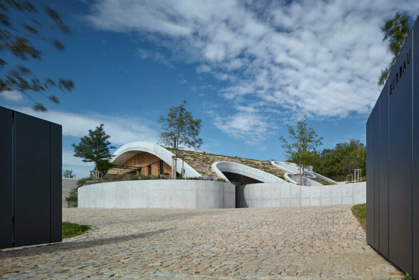 gurdau winery emerges as a ripple in the undulating landscape of kurdějov in czech republic