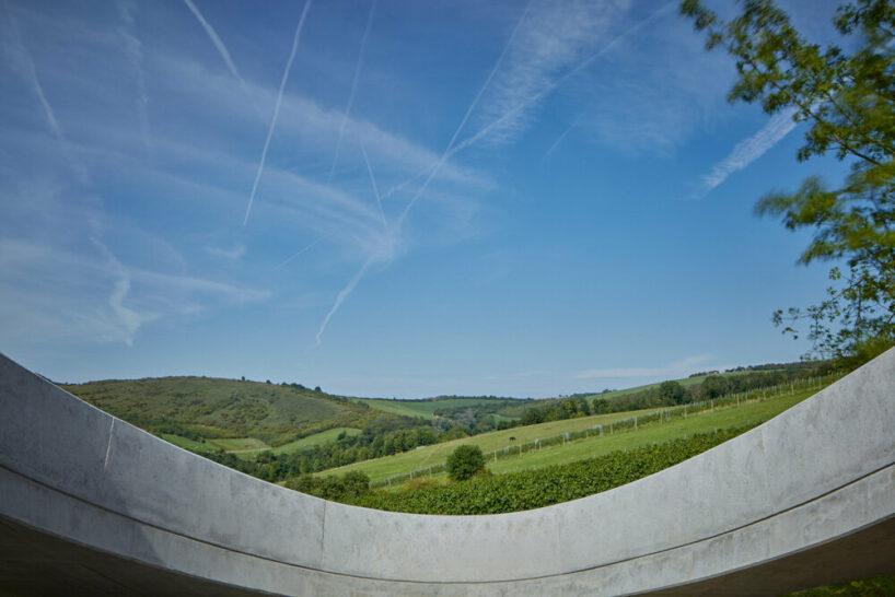 gurdau winery emerges as a ripple in the undulating landscape of kurdějov in czech republic