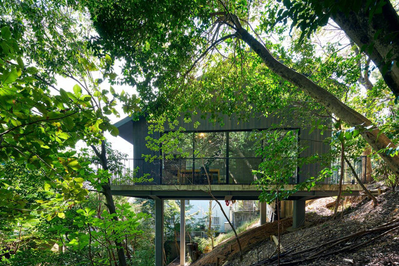 airhouse's wooden home floats above a steep slope in the japanese forest 