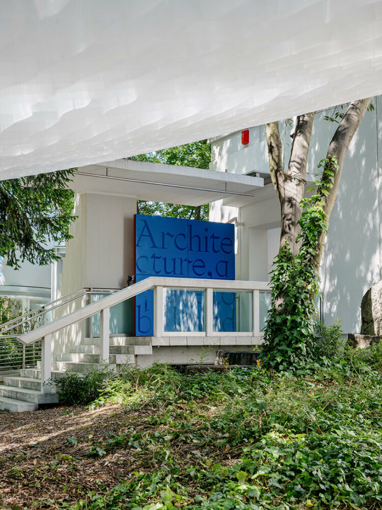 image © Yuma Harada