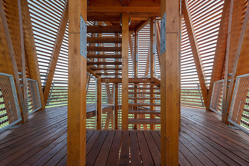 image by Tamás Bujnovszky