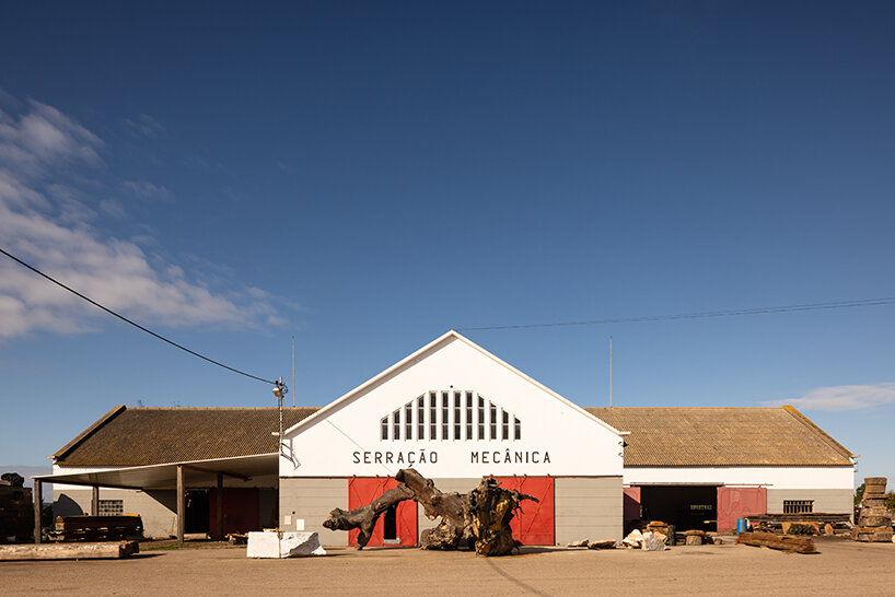 image © Francisco Nogueira