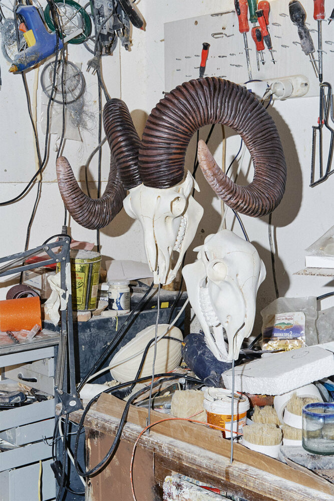 image by Formafantasma, work in progress of animal reproductions at Ecofauna's workshop, 2023, Prato, Italy