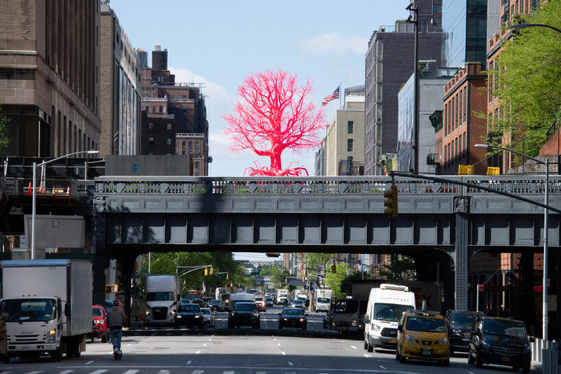 old tree pamela rosenkranz high line