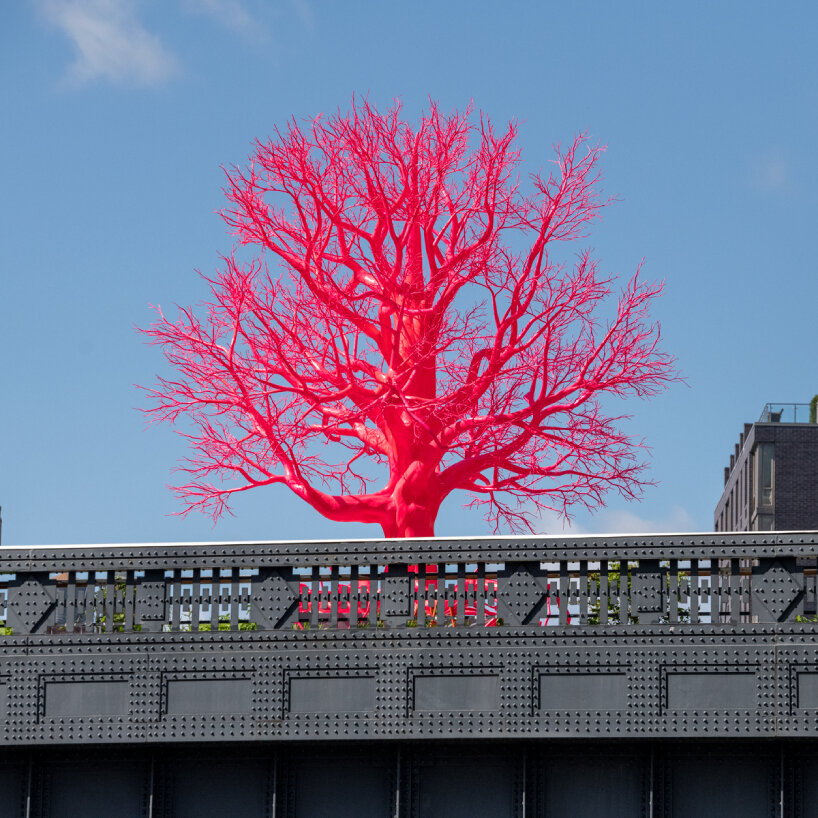 old tree pamela rosenkranz high line