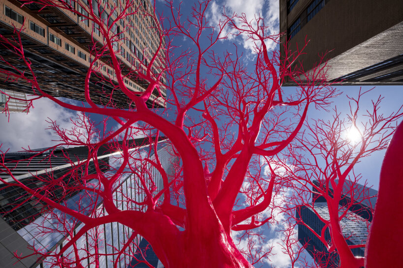 old tree pamela rosenkranz high line