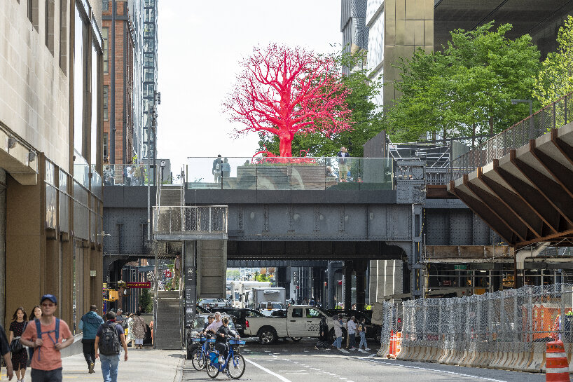 old tree pamela rosenkranz high line