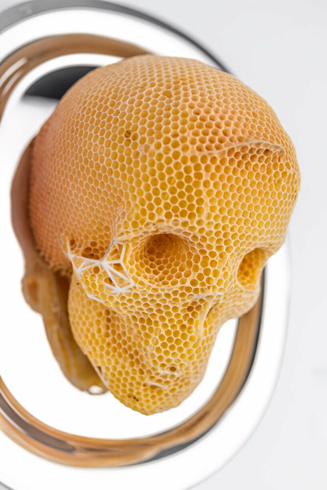 detailed shot of 'Feed Your Head'