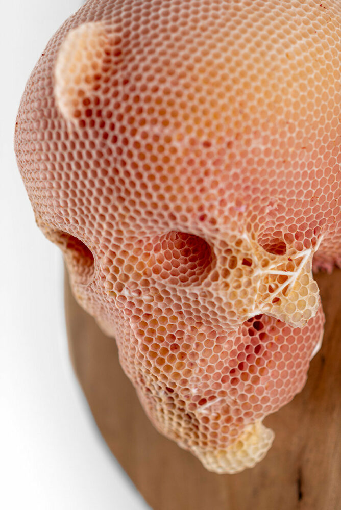 Libertiny has added a red pigment to both 'Pain Au Amour' and 'John the Baptist'