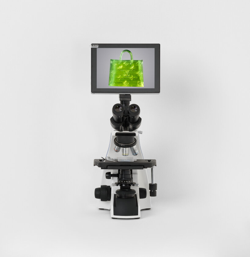 mschf microscopic handbag louis vuitton