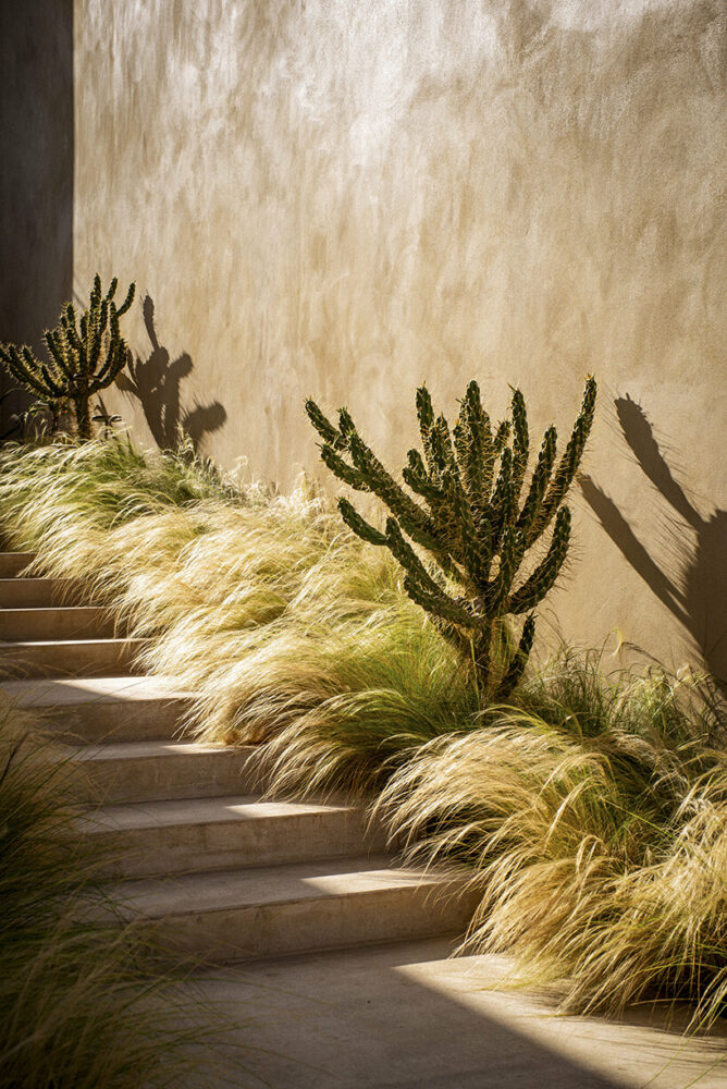 nestled in coastal lebanon, ‘butler’s table’ by carl gerges architects is a tribute to the sun