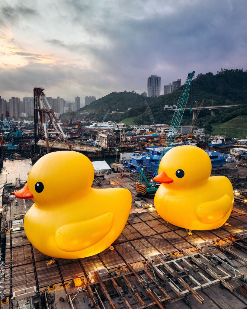 florentijn hofman rubber ducks hong kong
