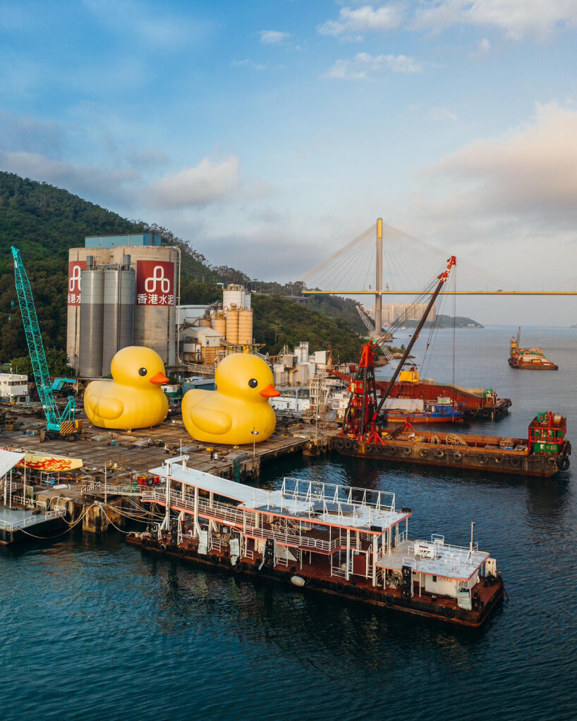 florentijn hofman rubber ducks hong kong