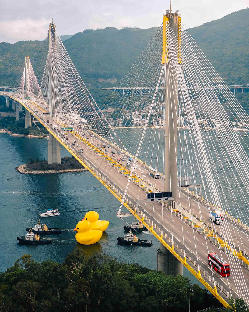 florentijn hofman rubber ducks hong kong