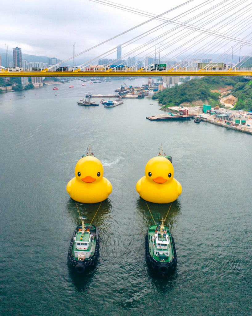 florentijn hofman rubber ducks hong kong