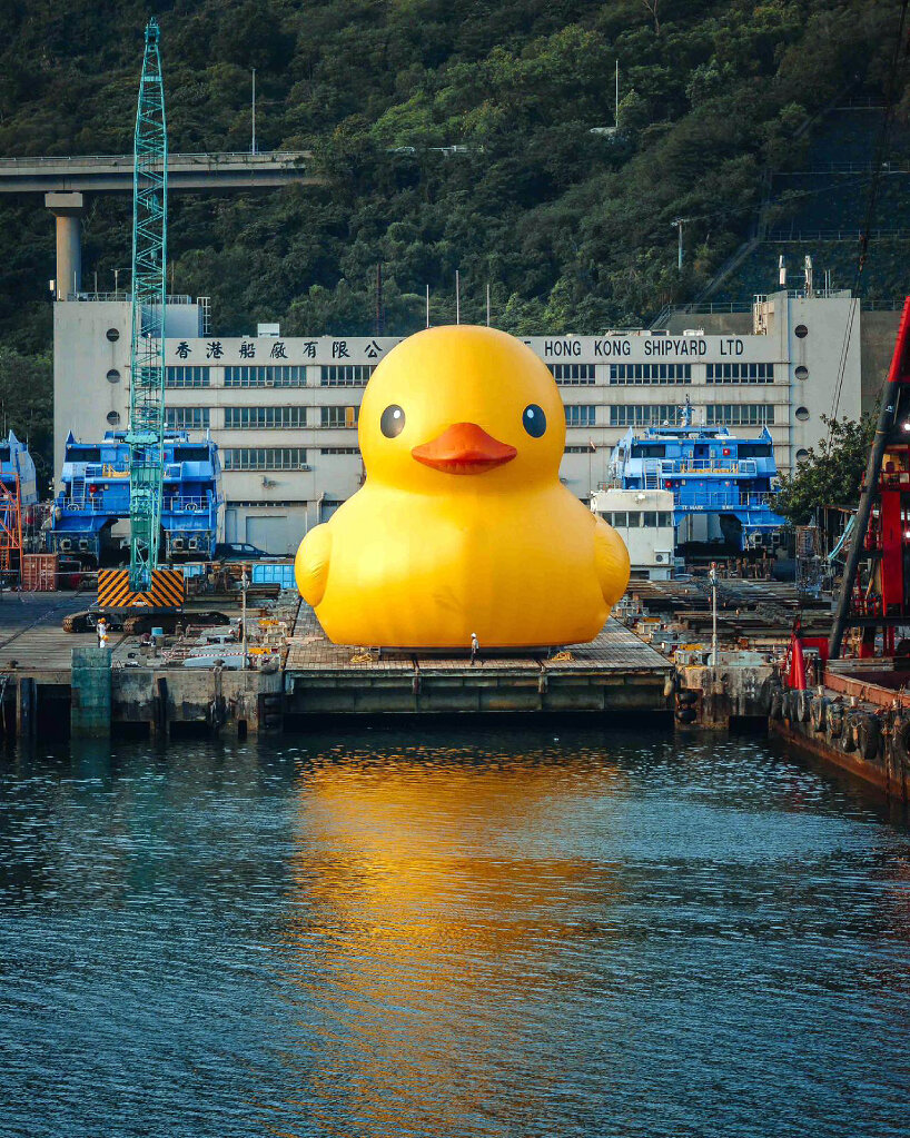 florentijn hofman rubber ducks hong kong