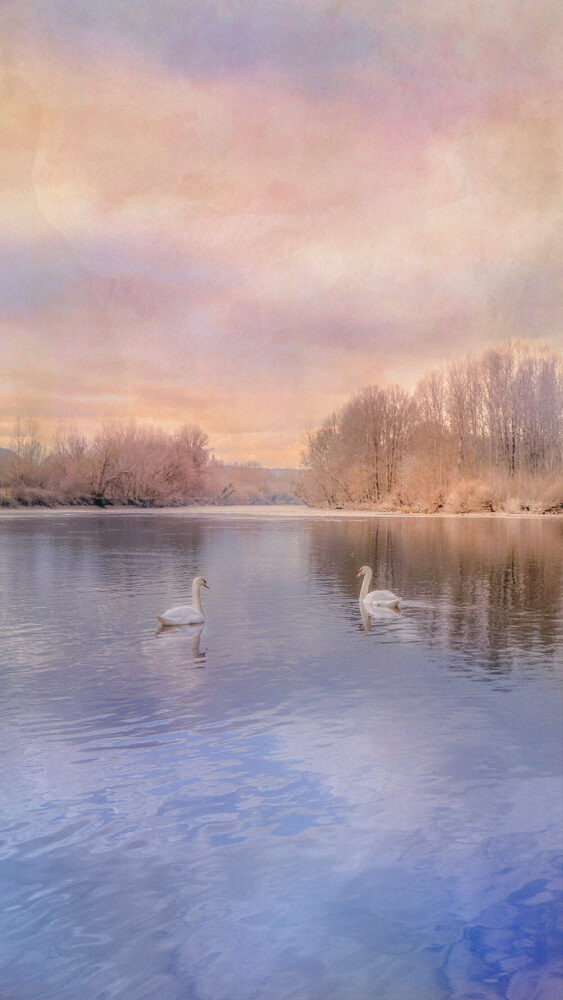 Samantha Cavet, Swan Lake, 2023, courtesy of the artist and SuperRare