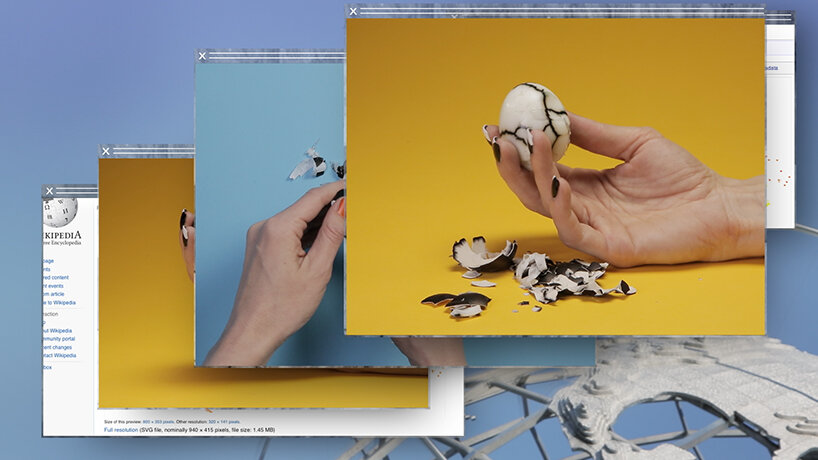 Camille Henrot, Grosse Fatigue (video still), (2013) | image courtesy of the artist, Silex Films and kamel mennour (Paris/London)