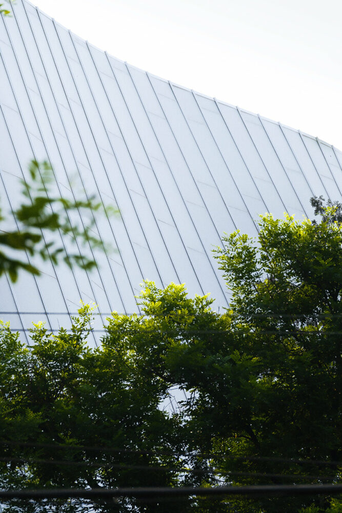 image © Zhengdong Li